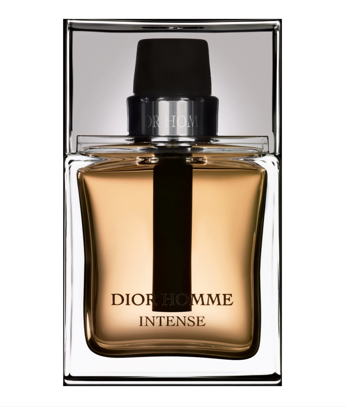 Christian Dior, Dior Homme Intense, Eau De Parfum, For Men, 100 ml