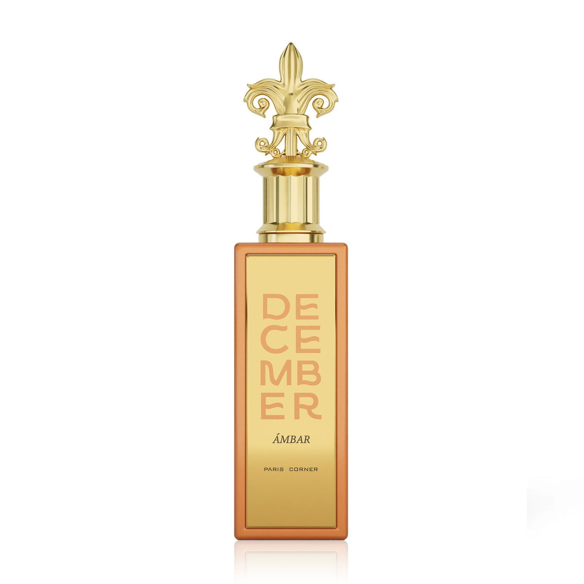 Paris Corner, December Ambar, Eau De Parfum, Unisex, 100 ml